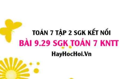 Bài 9.29 SGK Toán 7 Tập 2 Kết nối tri thức